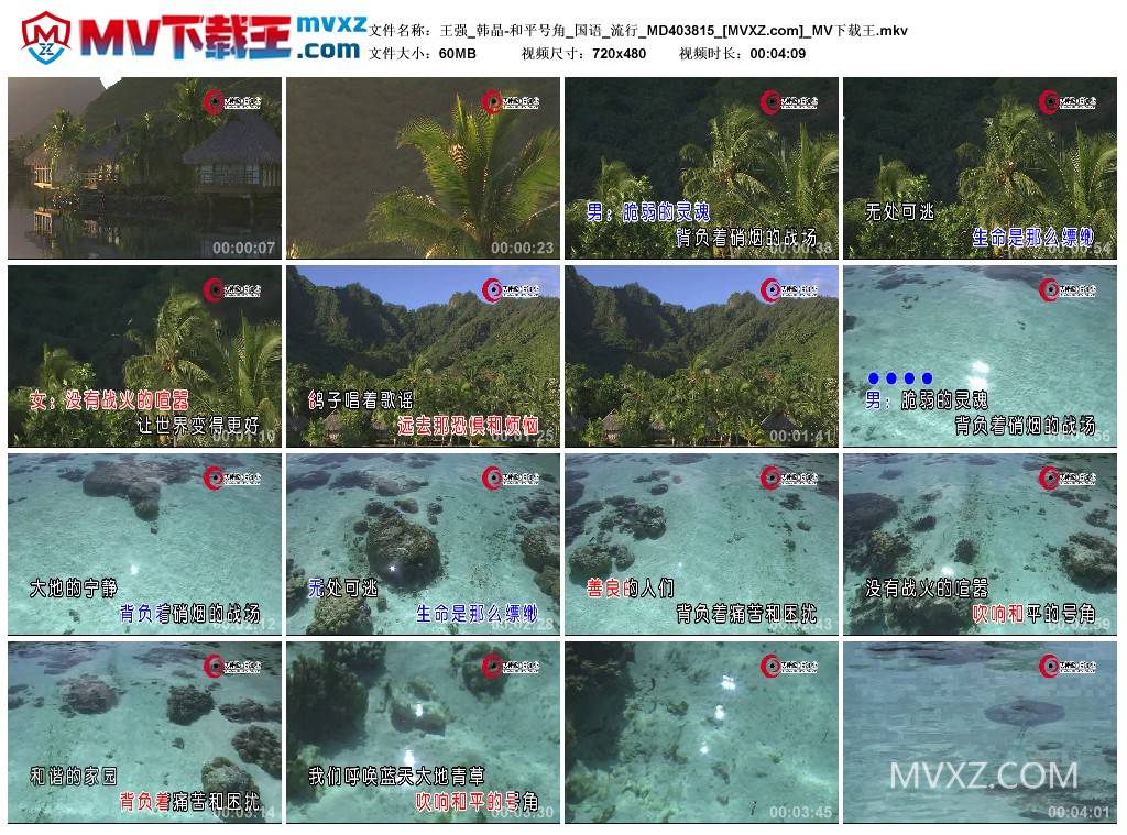 王强_韩晶-和平号角_国语_流行_MD403815